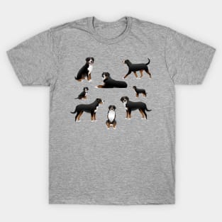 Sennenhund dog set T-Shirt